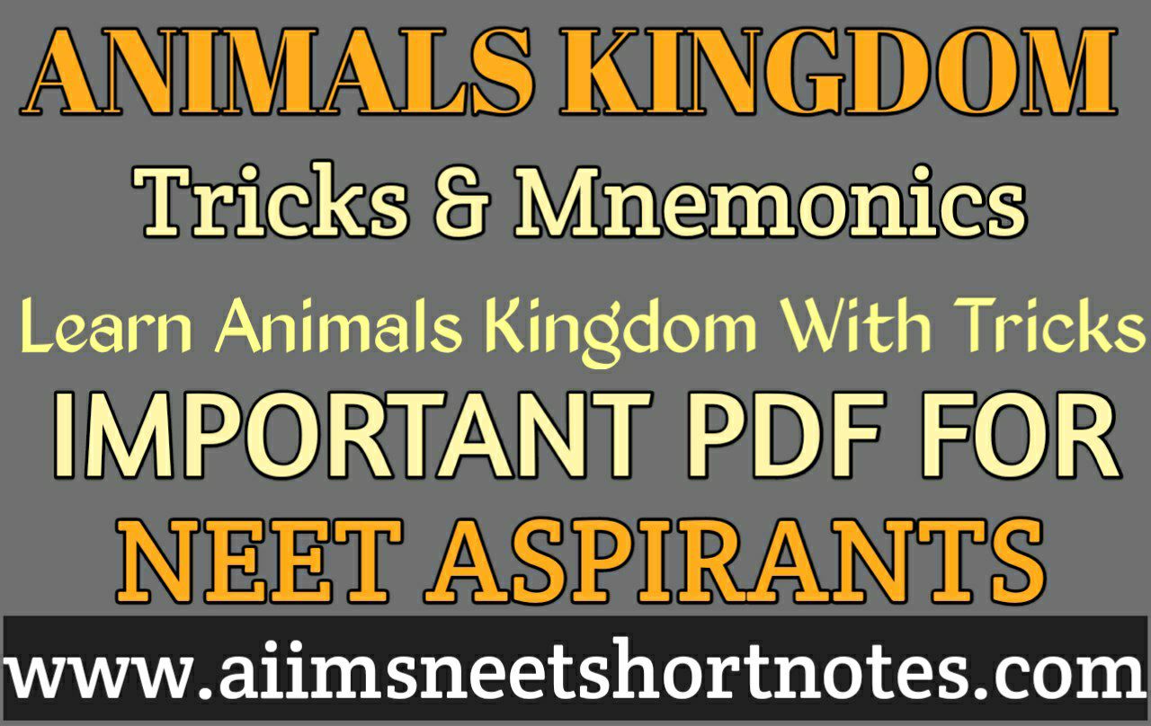 Animal Kingdom Mind Maps Arjuna NEET 2024 PDF Sponge Fish, 43 OFF