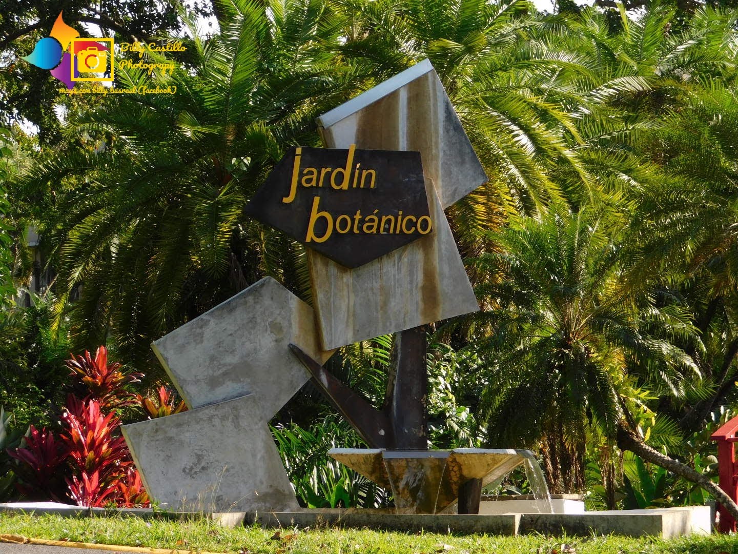 Billy Castillo Photography Jardín Botánico, Río Piedras Puerto Rico