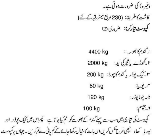 Mushroom Benefits In Urdu Mushroom Farming Pakistan At Home Mushroom Ke