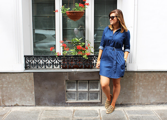 The Denim Dress I can't Stop Wearing