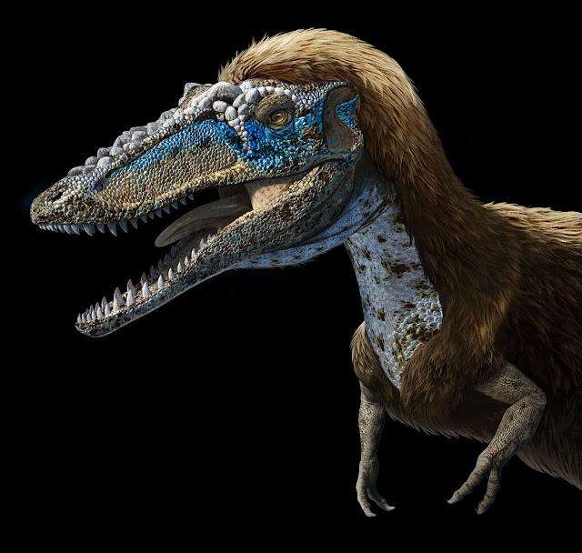 Qianzhousaurus sinensis, aka Pinocchio rex.