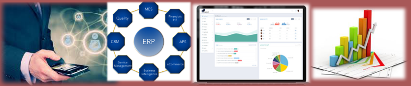 ERP Implementation Planning Guide