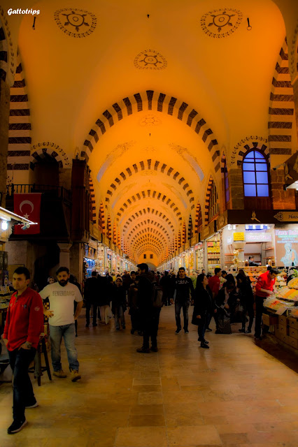 Estambul - Recuerdo de Constantinopla - Blogs de Turquia - Mezquita Azul, Palacio de Topkapi y Cisterna (9)