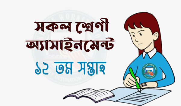 12th Week Assignment Answer PDF for Class 6,7,8,9