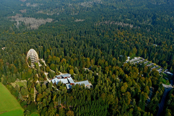 Bavarian Forest National Park