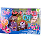 Littlest Pet Shop 3-pack Scenery Raccoon (#1622) Pet