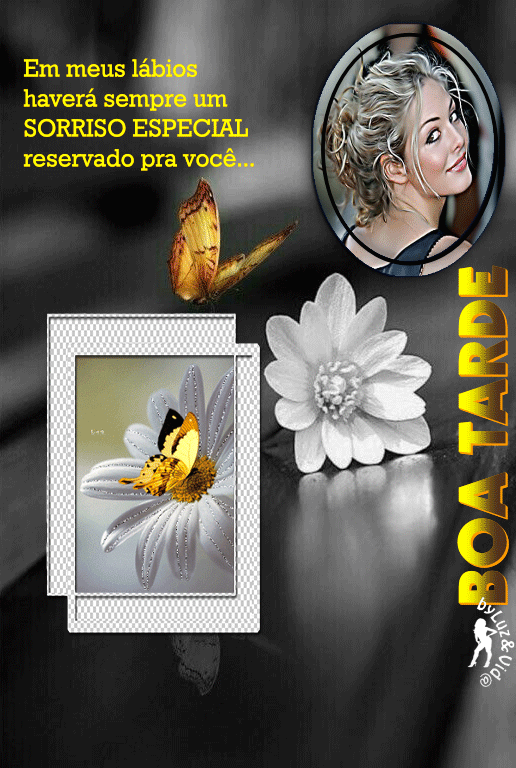 novo49-%2528MB%2529maryluz.gif