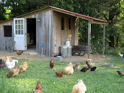 chicken coop chickens coops farm rustic yard shed koop designs poultry cool inspiration coup virginia west thursday plans backyard houses