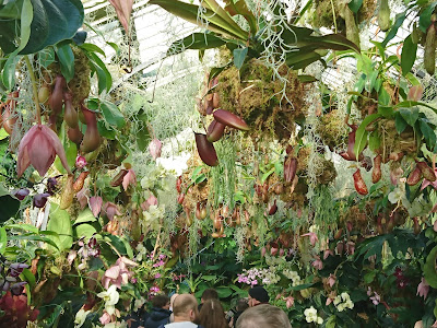 Ein Gang durch ein Kew Gardens Gewächshaus. Geschmückt für das Orchideenfest. 