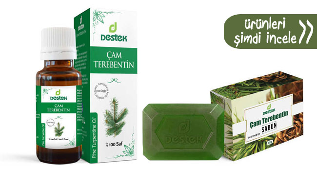 cam terebentin yagi nedir ne ise yarar saca faydalari nelerdir