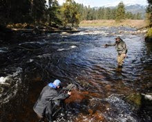 Imágenes integradas 11