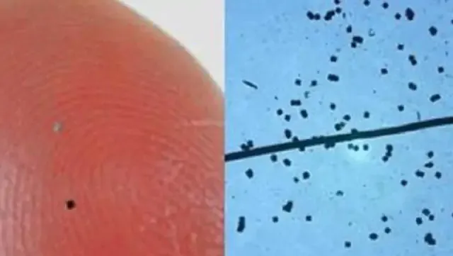 ¡Tenga cuidado con el polvo inteligente espolvoreado! 'Ya podrías estar microchipeado'