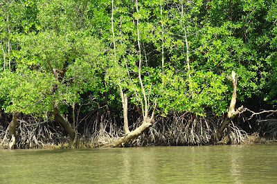 Bercuti ke Thailand : Pulau James Bond, Phang Nga