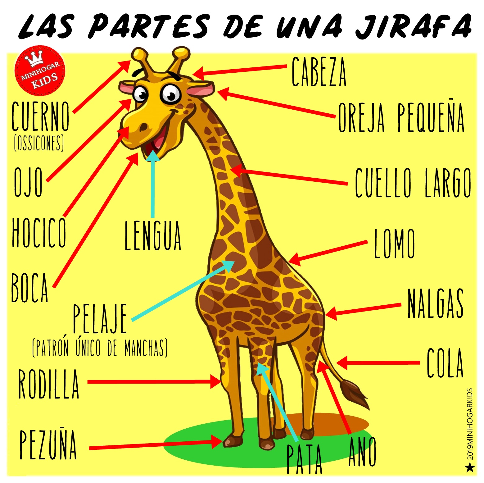 Arriba 92+ Imagen De Fondo El Sonido De Una Jirafa Lleno
