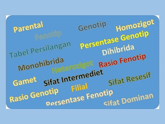 17 Istilah Dalam Persilangan Ipa Mts
