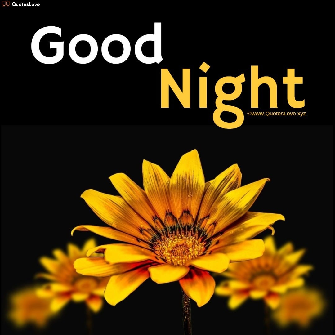 5 [Latest] Good Night Images Flowers