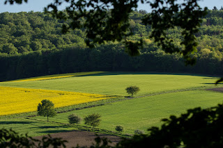 Naturfotografie Landschaftsfotografie Weserbergland