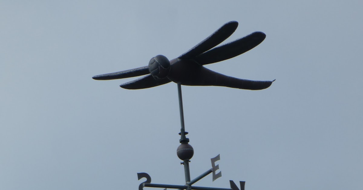 Nutfield Genealogy A Dragonfly Weathervane Wednesday