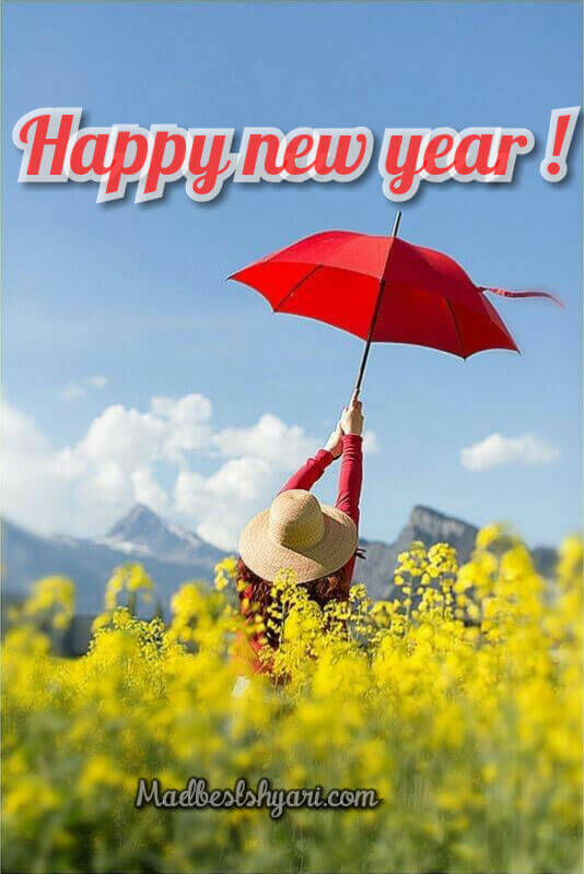 happy new year photo happy new year photo