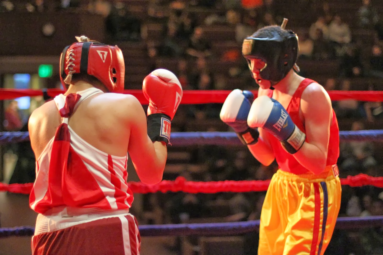 Mid Valley Blogger: Fight Night 2014 at The Corvallis Boxing Club