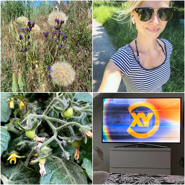 Warum Feiern Wir Pfingsten