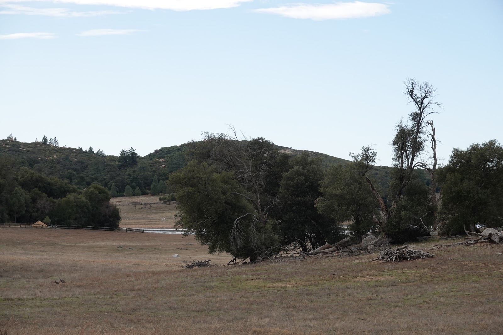 Looking for Lakes Corte Madera