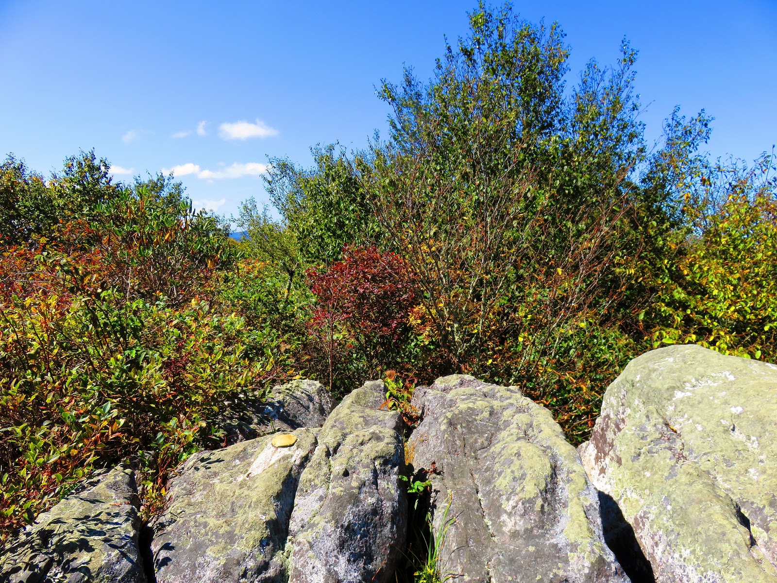 Tales From The Wood Booger: Viking Mountain From....