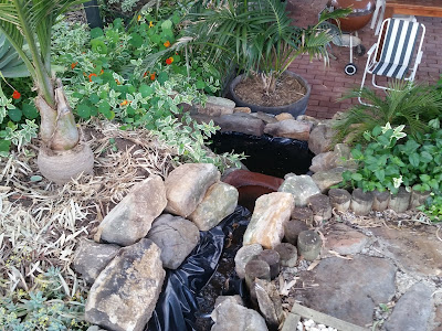 Backyard Waterstream with pond