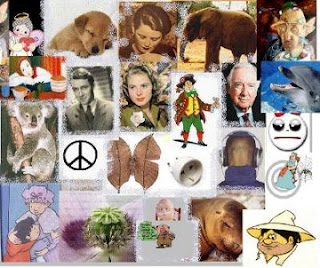 Collage representativo del eneatipo 9