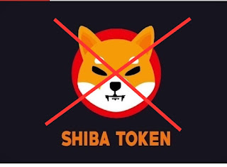 shiba inu coin