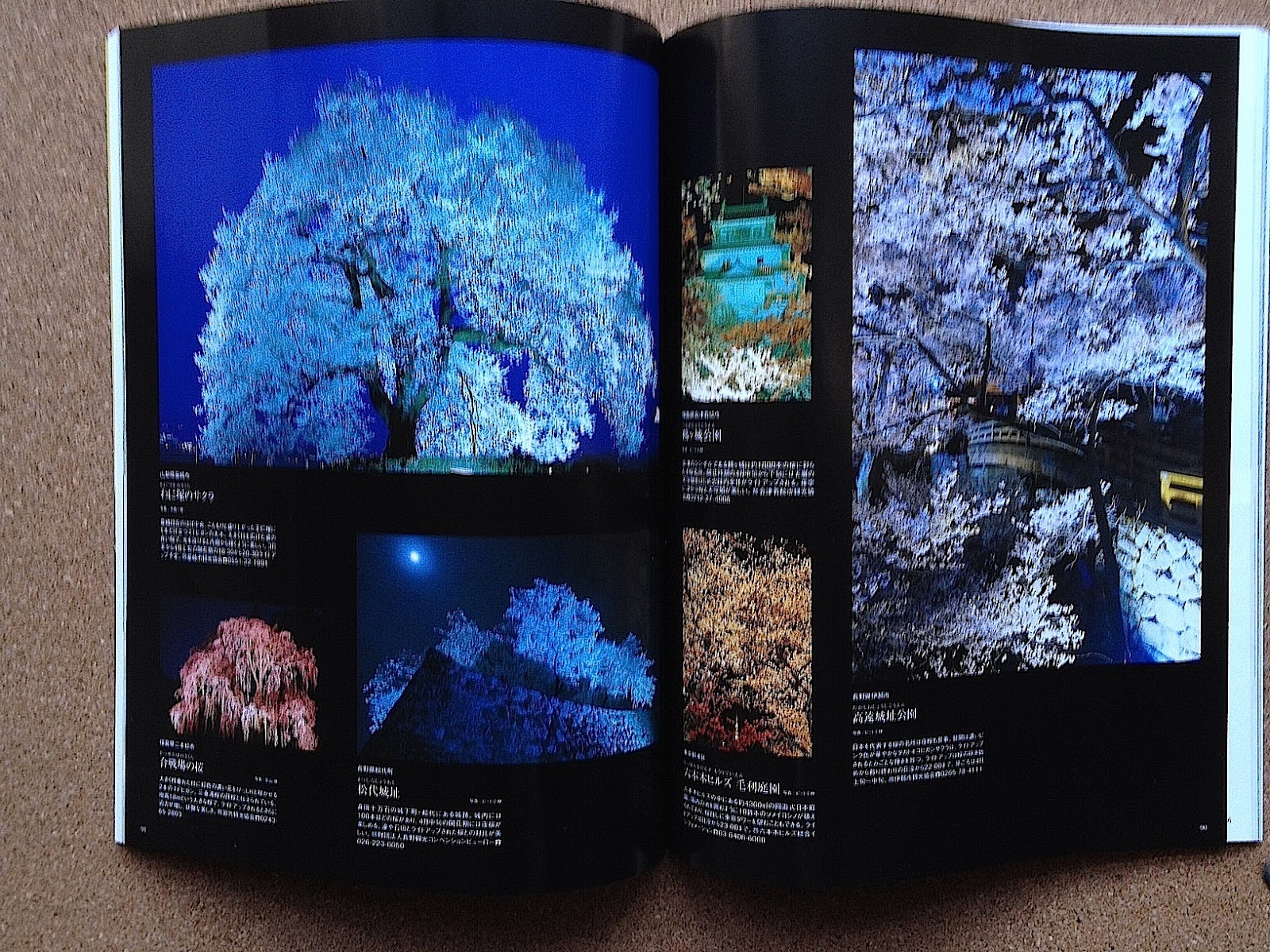 大人の桜旅 : 一度は見に行きたい日本の桜名所&名桜700景 2012 驚異の