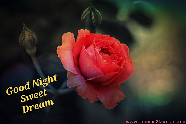 good night rose good night rose