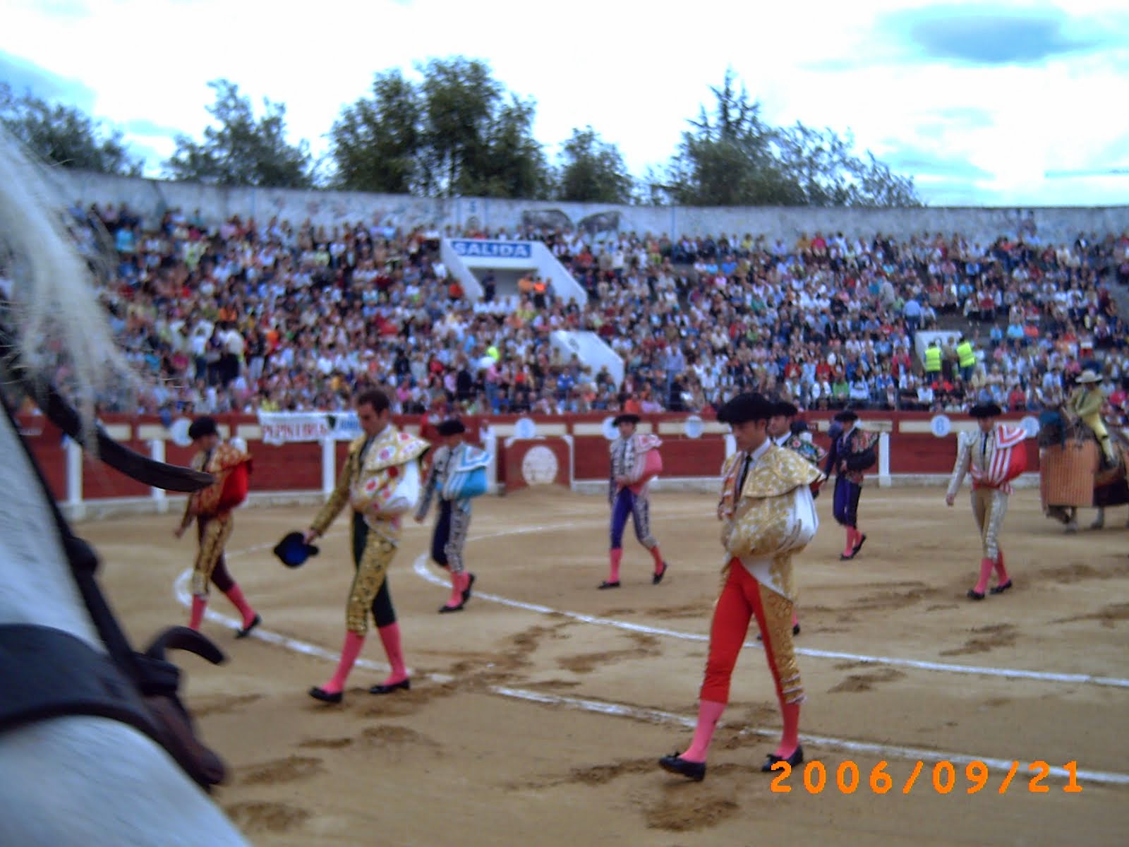 OVIEDO TOROS