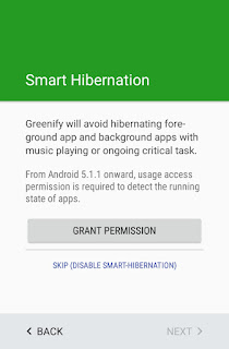 Greenify Setup