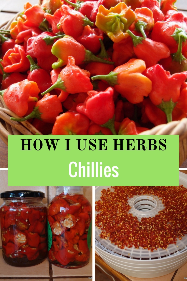 How I use herbs chilli Eight Acres Natural Living