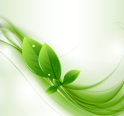 Vector Eco Leaves