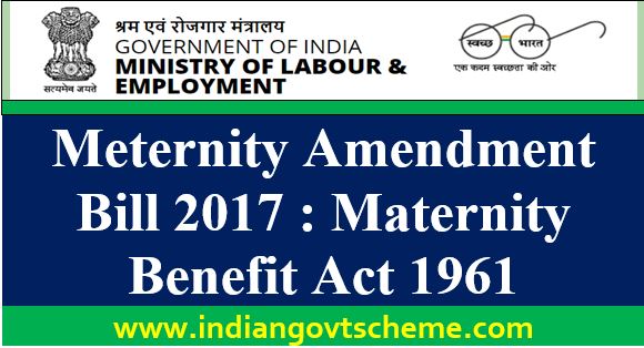 Meternity+amendment+bill