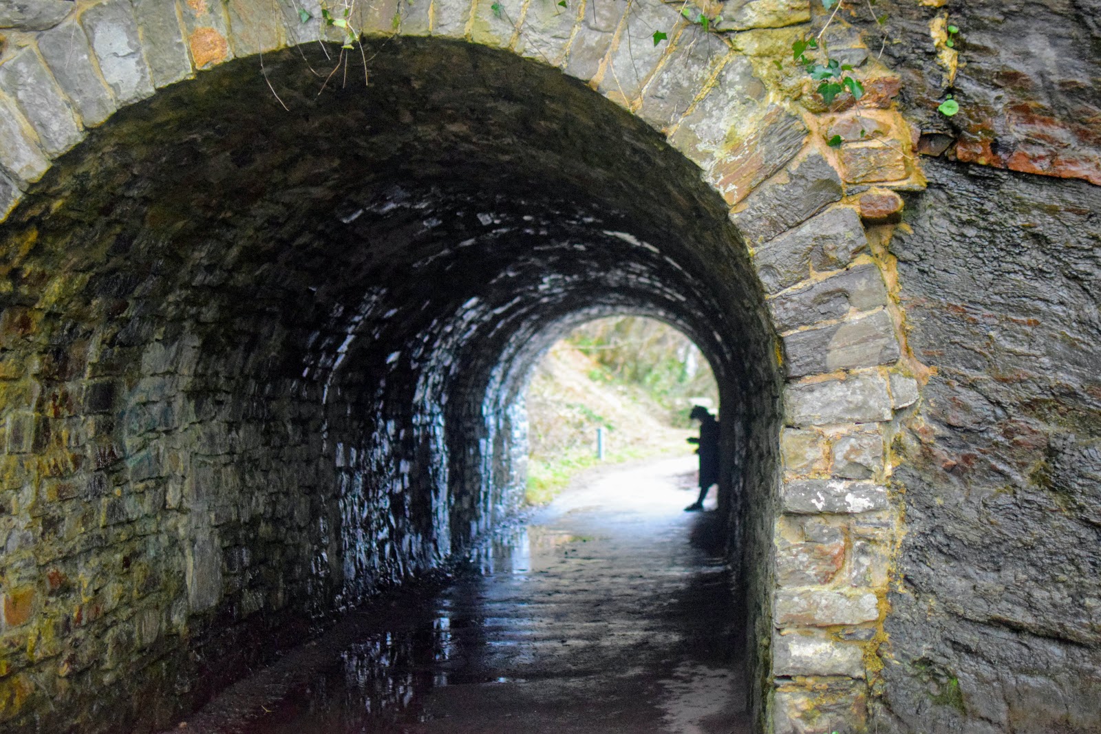 Days Out Snapshots of the Saundersfoot Tunnel Walks, Pembrokeshire