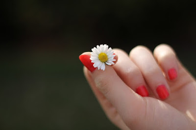 Lovely Images Lovely Images