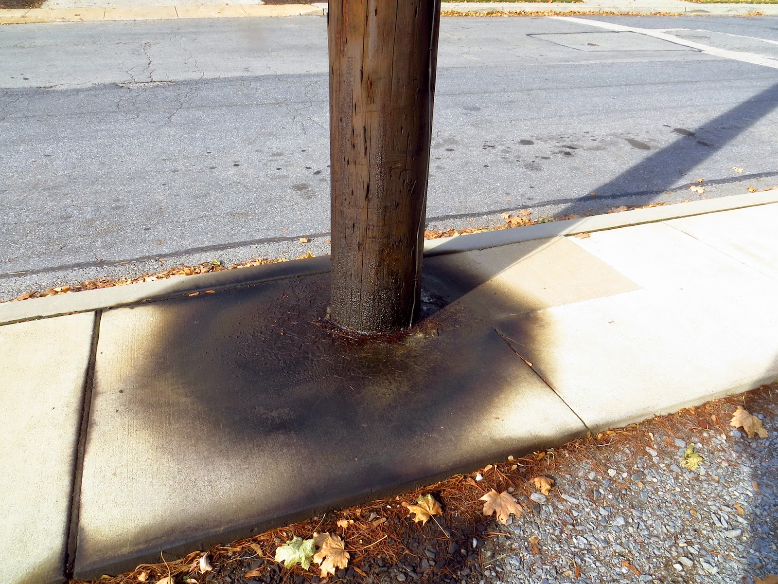 COLUMBIA SPY: What I Saw November 23, 2014 How To Remove Creosote From Telephone Pole