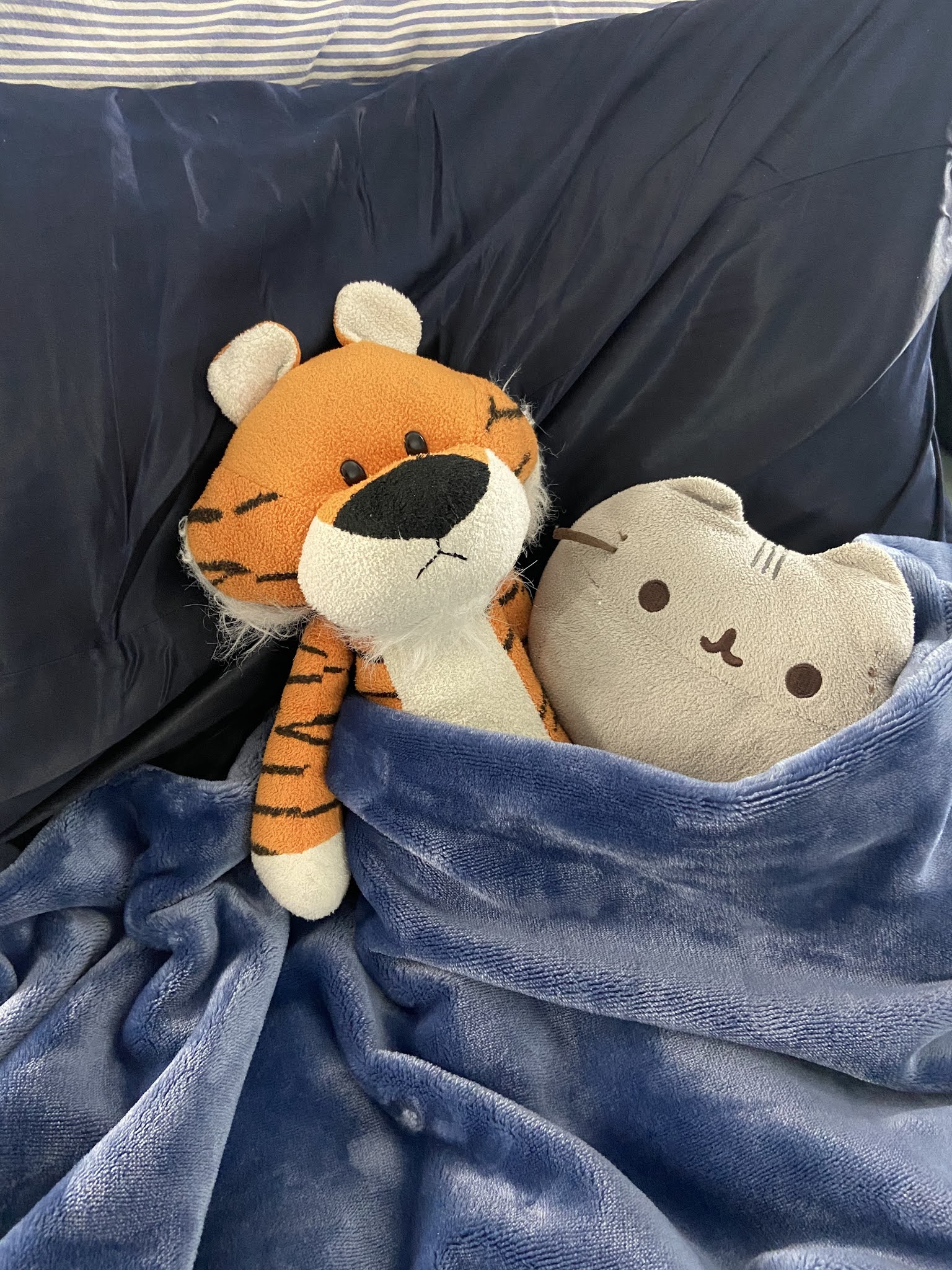 Bedding Ll Bean Wicked Cozy Ll Bean Wicked Cozy Blanket Review Shop