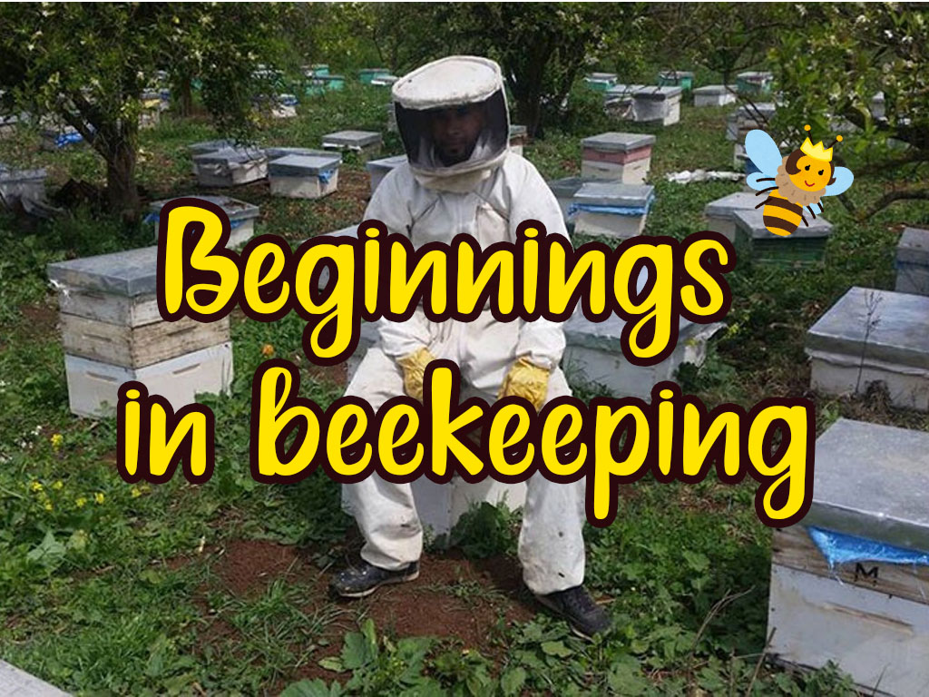 Beginnings in beekeeping: how to do it? Beginnings in beekeeping: how to do it?