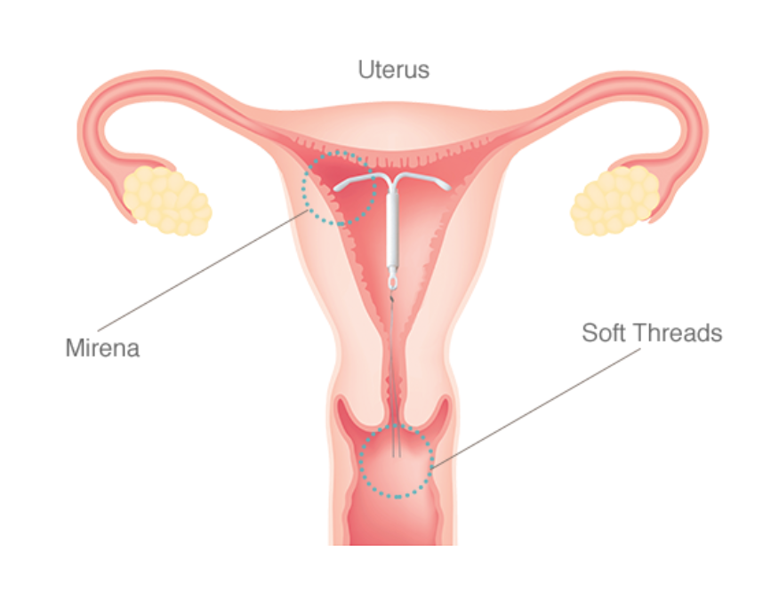 Ejaculation inside vagina is peak of pleasure for any girl