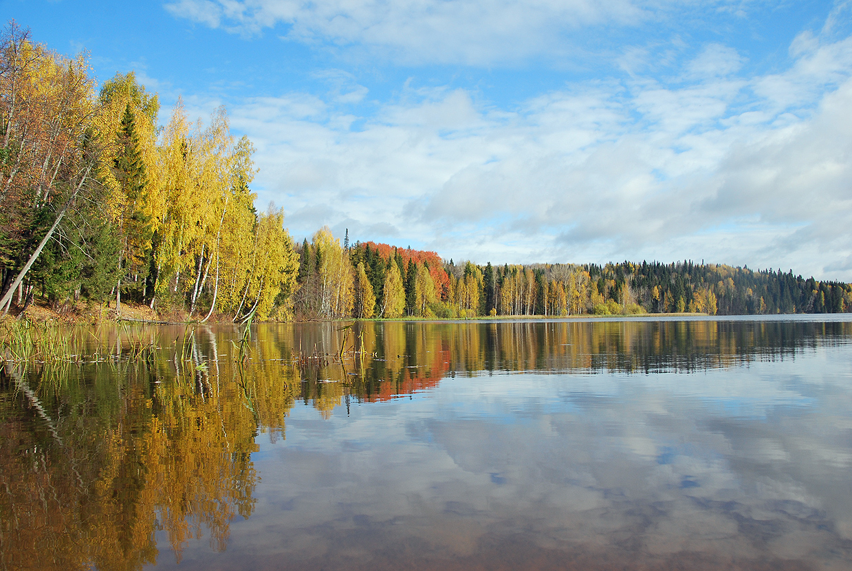 снегиревская усадьба. река шалашная пермский край. погода в шалашной пермский край. шалашная. погода в шалашной пермский край.