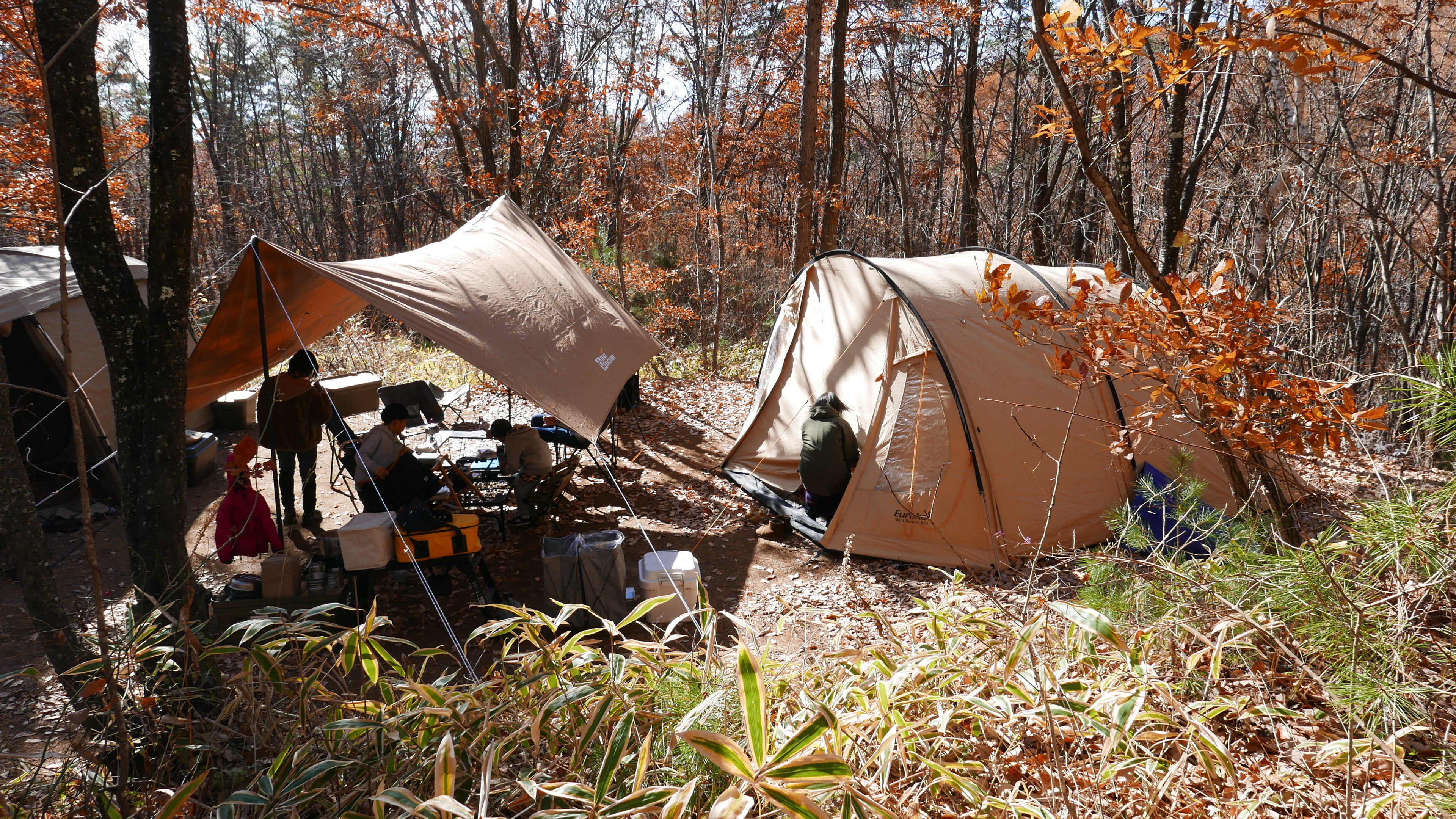 全てはカタチから acnあさまの森オートキャンプ場 2020 11 14 15