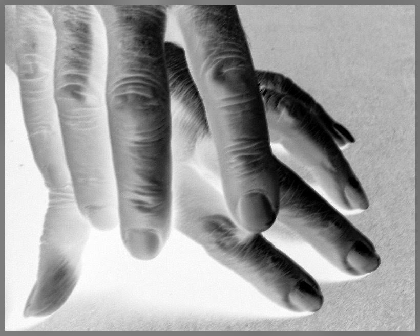 Klarchen Februar 2015