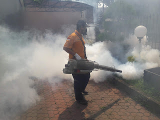 fogging nyamuk