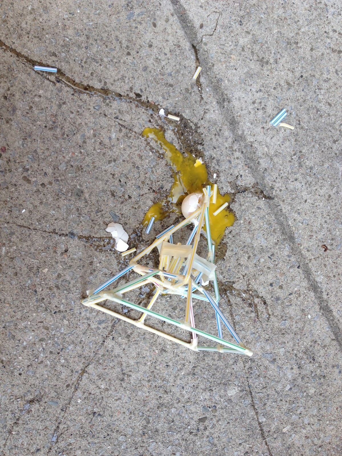 Earth and Space: Egg Lander
