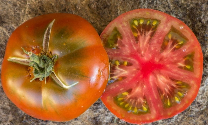 томат гном смех кукабарра. томат гном смех кукабарры. гном кукабарра кэкл томат. томат гном смех кукабарры. гном смех кукабарры.
