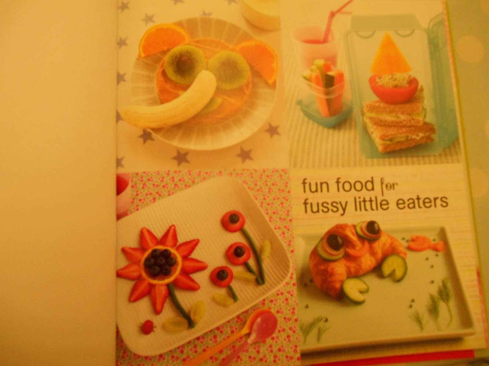 Madhouse Family Reviews Book review Fun Food For Fussy Little Eaters